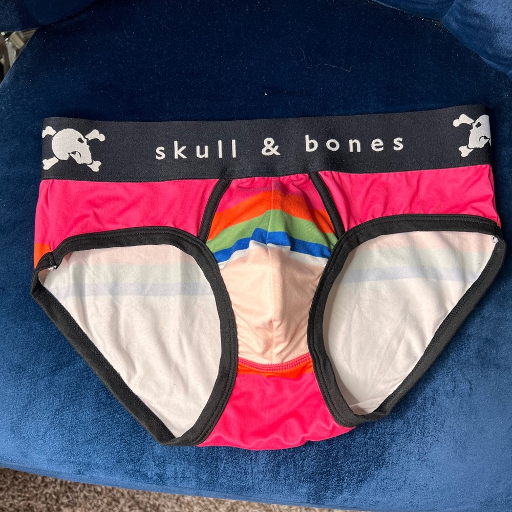 Multicolor Skull and Bones briefs